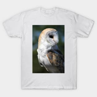 Barn Owl T-Shirt